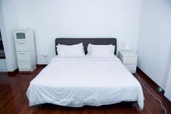 Braddell Road (D13), Semi-Detached #617725831